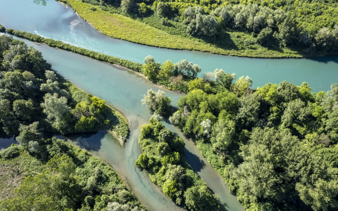 Réserve naturelle nationale du Haut-Rhône français