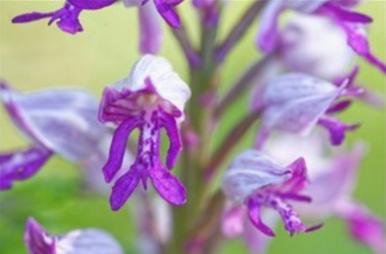 Activité en famille