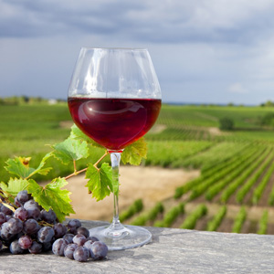 Vin de Pays d'Allobrogie